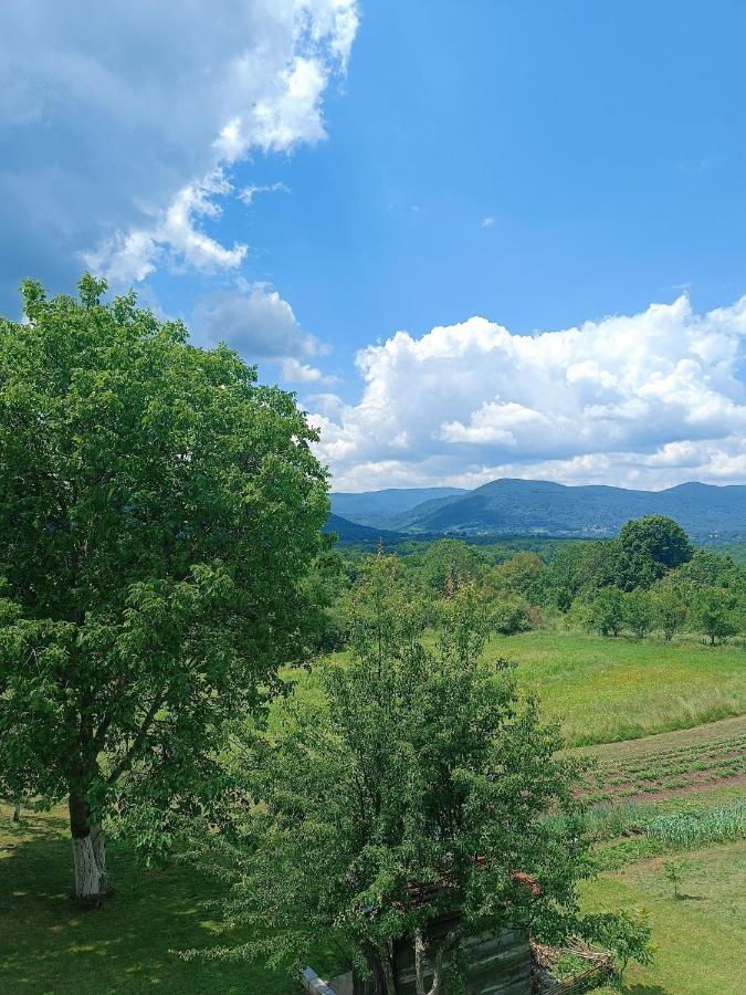 Apartman Plum Plitvice Drežnik Grad Zewnętrze zdjęcie