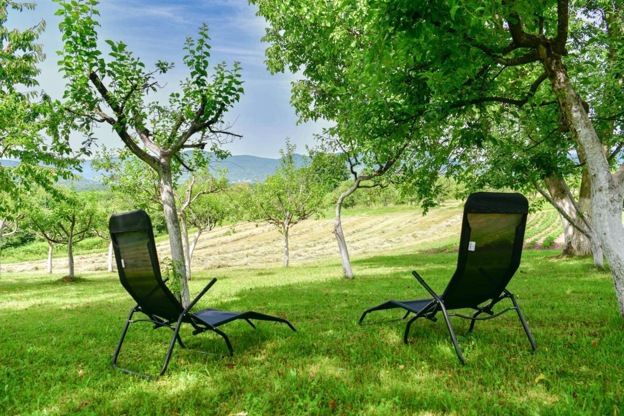 Apartman Plum Plitvice Drežnik Grad Zewnętrze zdjęcie