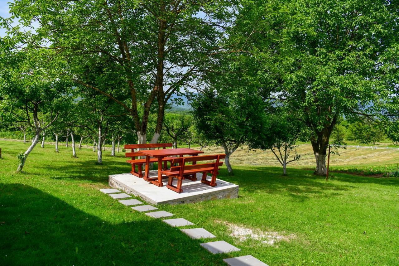 Apartman Plum Plitvice Drežnik Grad Zewnętrze zdjęcie